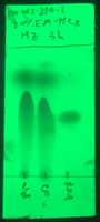 Free download MS 2 238b 24 H (not Ketones) free photo or picture to be edited with GIMP online image editor