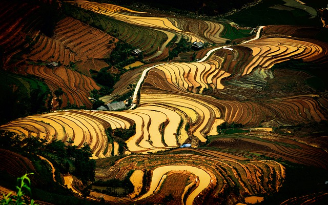 הורדה חינם של אורז הרים mucangchai וייטנאם תמונה בחינם לעריכה עם עורך תמונות מקוון בחינם של GIMP