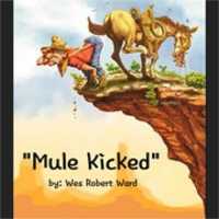 Free download Mule Kicked free photo or picture to be edited with GIMP online image editor