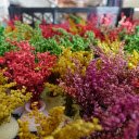 Multi colored baby flowers  screen for extension Chrome web store in OffiDocs Chromium