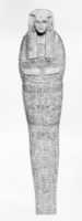 Free download Mummy Board of Gautsoshen free photo or picture to be edited with GIMP online image editor
