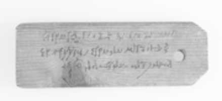 Free download Mummy Tag of Psentsenpshay, son of Thoteu free photo or picture to be edited with GIMP online image editor