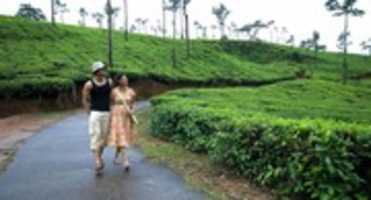 Free download Munnar A Heaven For Honeymoon Couples free photo or picture to be edited with GIMP online image editor