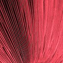 Mushroom Gills Wallpaper Theme  screen for extension Chrome web store in OffiDocs Chromium