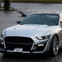 Mustang on the Road: Power and Freedom in Motion  screen for extension Chrome web store in OffiDocs Chromium