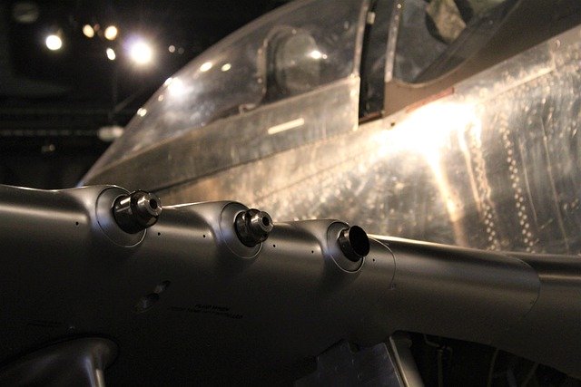 Free download mustang p51 wwii warbird aviation free picture to be edited with GIMP free online image editor