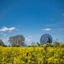 mustard flower field  screen for extension Chrome web store in OffiDocs Chromium