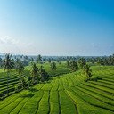 My Custom Chrome Theme  screen for extension Chrome web store in OffiDocs Chromium