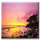 My Hawaii  screen for extension Chrome web store in OffiDocs Chromium
