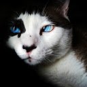 Mysterious eyes  screen for extension Chrome web store in OffiDocs Chromium