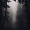 Mystic Black Forest  screen for extension Chrome web store in OffiDocs Chromium