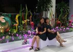 Free download n4 free photo or picture to be edited with GIMP online image editor