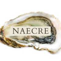 Free download Naecre free photo or picture to be edited with GIMP online image editor