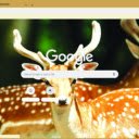 Nai  screen for extension Chrome web store in OffiDocs Chromium