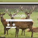 Nai chau Au  screen for extension Chrome web store in OffiDocs Chromium