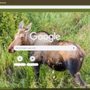 Nai lang  screen for extension Chrome web store in OffiDocs Chromium