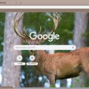Nai rung chau A  screen for extension Chrome web store in OffiDocs Chromium