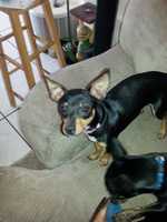 Free download NALA ORTIZ free photo or picture to be edited with GIMP online image editor