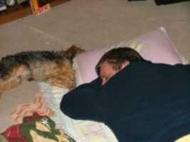 Free download Naps With Dad free photo or picture to be edited with GIMP online image editor