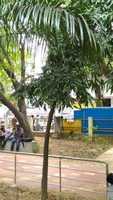 Free download NATESAN SMALL 1 free photo or picture to be edited with GIMP online image editor