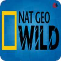 Free download Nat Geo Wild free photo or picture to be edited with GIMP online image editor