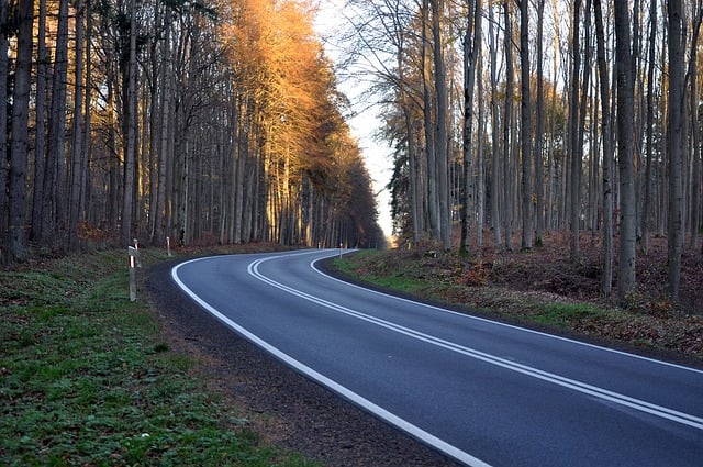 Free download national road turn asphalt free picture to be edited with GIMP free online image editor