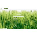 natural  screen for extension Chrome web store in OffiDocs Chromium
