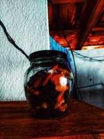 Free download Naturaleza muerta embotellada. free photo or picture to be edited with GIMP online image editor