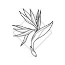 Natural flower bird  screen for extension Chrome web store in OffiDocs Chromium