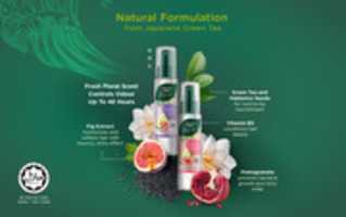 Free download Natural Formulation 3 free photo or picture to be edited with GIMP online image editor