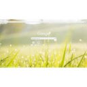 Nature  screen for extension Chrome web store in OffiDocs Chromium