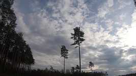 دانلود رایگان ابرهای بعد از ظهر طبیعت - ویدیوی رایگان قابل ویرایش با ویرایشگر ویدیوی آنلاین OpenShot