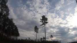 הורדה חינם Nature Afternoon Clouds - סרטון חינם לעריכה עם עורך וידאו מקוון של OpenShot