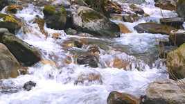 OpenShot 온라인 비디오 편집기로 편집할 무료 비디오 다운로드 Nature Calm Water