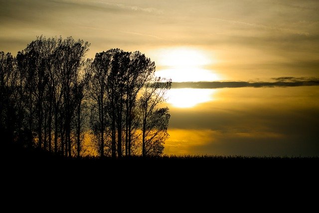 Ücretsiz indir doğa arifesinde güneş gün batımı ağaçları GIMP ücretsiz çevrimiçi resim düzenleyici ile düzenlenecek ücretsiz resim düşüyor
