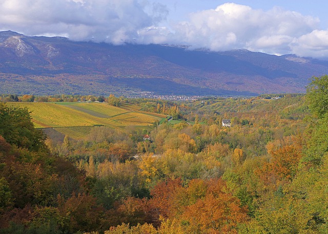 دانلود رایگان عکس فصل پاییز طبیعت در خارج از سفر برای ویرایش با ویرایشگر تصویر آنلاین رایگان GIMP