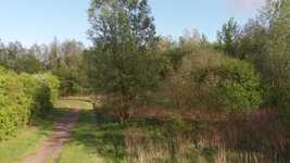Free download Nature Forest Fields -  free video to be edited with OpenShot online video editor