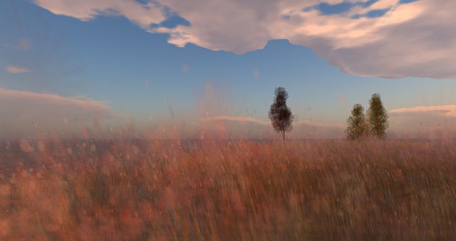 Free download Nature Grass Sky -  free photo or picture to be edited with GIMP online image editor