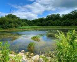 Muat turun percuma Nature in Northwest Minnesota foto atau gambar percuma untuk diedit dengan editor imej dalam talian GIMP