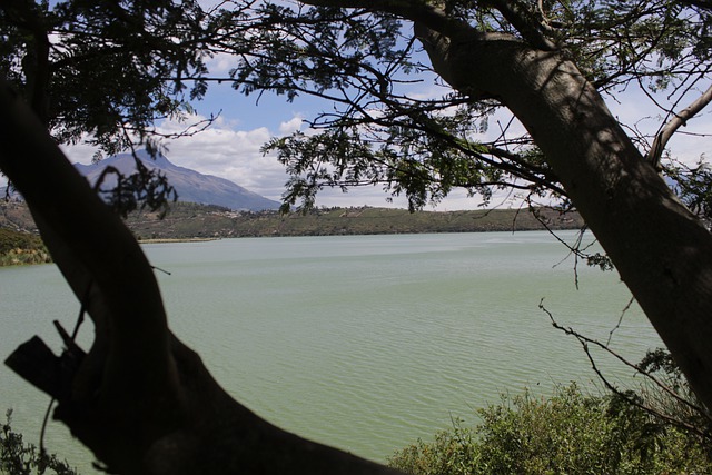 Ücretsiz indir doğa gölü ağacı açık havada seyahat GIMP ücretsiz çevrimiçi resim düzenleyiciyle düzenlenecek ücretsiz resim
