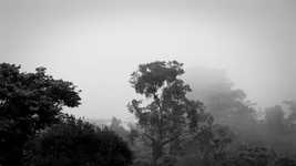 Muat turun percuma video percuma Nature Landscape Mist untuk diedit dengan editor video dalam talian OpenShot