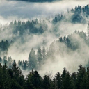 NATURE LANDSCAPETHEME  screen for extension Chrome web store in OffiDocs Chromium