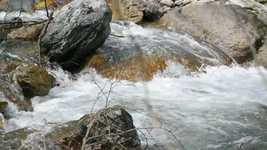 Free download Nature Naturale Forest free video to be edited with OpenShot online video editor