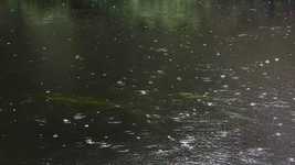 ดาวน์โหลดฟรี Nature River Rain - วิดีโอฟรีที่จะแก้ไขด้วยโปรแกรมตัดต่อวิดีโอออนไลน์ OpenShot