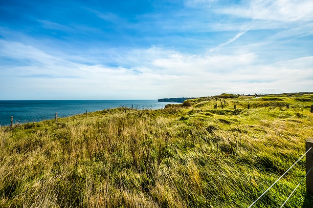 Free download nature sky grass landscape free picture to be edited with GIMP free online image editor