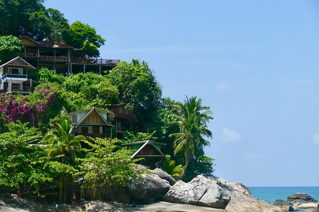 Unduh gratis alam musim panas pohon perjalanan gambar tropis gratis untuk diedit dengan editor gambar online gratis GIMP