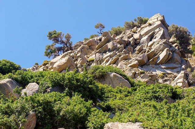 Free download nature travel tree summer stone free picture to be edited with GIMP free online image editor