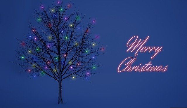 Free download nature wallpaper festive season free picture to be edited with GIMP free online image editor