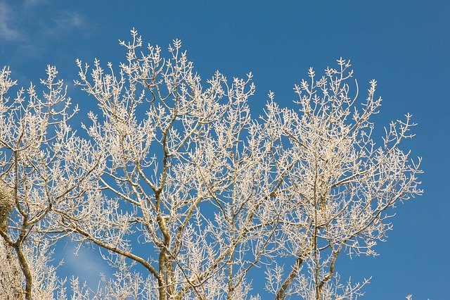 Descărcare gratuită Nature Weather Freezing - fotografie sau imagini gratuite pentru a fi editate cu editorul de imagini online GIMP