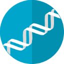 NCBI Search  screen for extension Chrome web store in OffiDocs Chromium